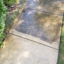 Pressure Washing 5